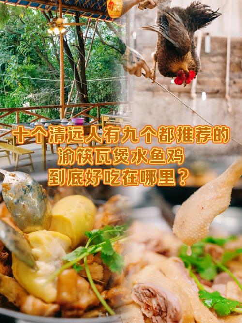 清远疫情前后的美食故事