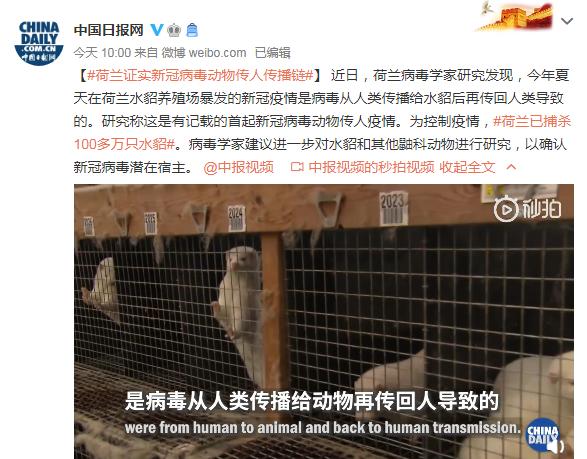 Netherlands旅游疫情最新消息,全面应对策略分析