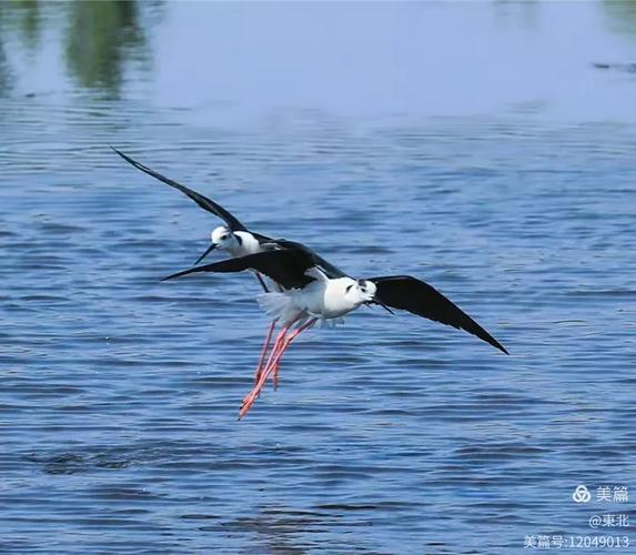 翅门网络优化,让网站焕发新生的光芒