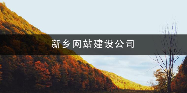 新乡网站建设的权威选择