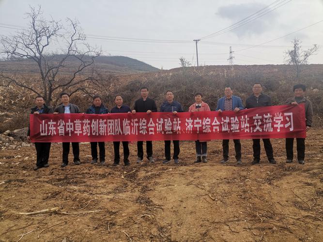 如何在临沂开展技术支持服务?一文搞定!