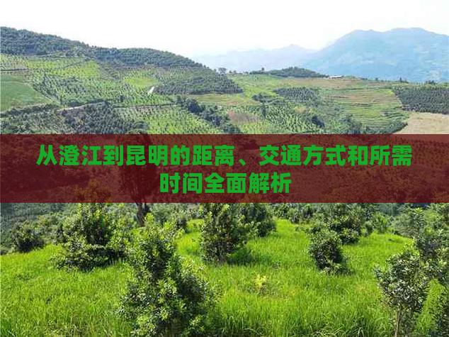 云南网络备案指南，全面解析所需信息与流程