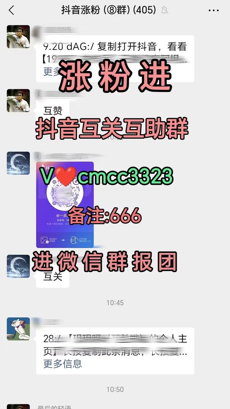 抖音赞平台搭建与KS互赞App开发指南