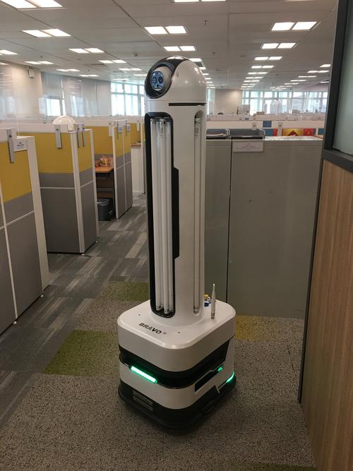 岳州战旗网络有限公司，transforming Digital Presence in a Dynamic Market