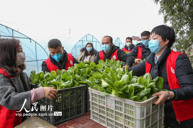 武汉疫情防控新策略，隔离期间的必修课！