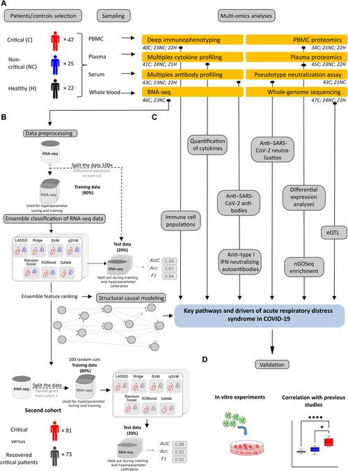 博罗疫情分析，最新消息与应对策略