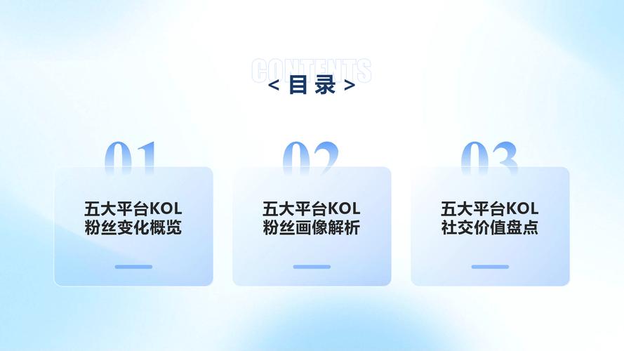 快手秒粉丝，KOL与短视频平台的高效互动之道