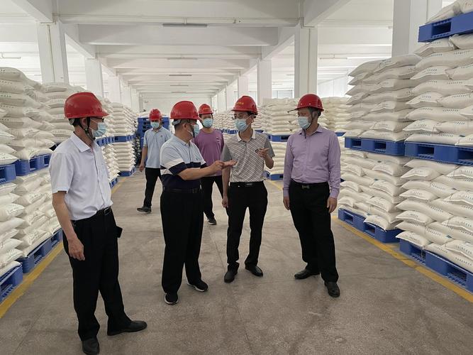 湛江与广州疫情，最新动态解析与应对策略