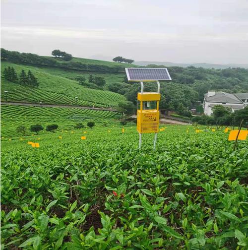 网络推广的绿色之选