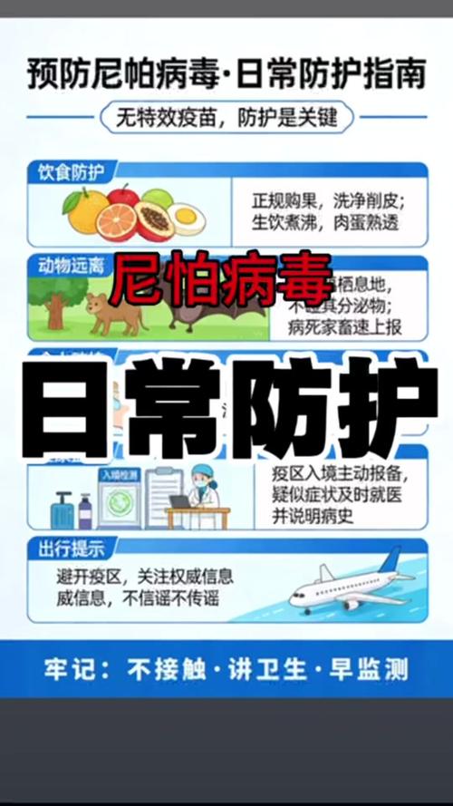 疫情知识点,如何保护自己?保护世界!