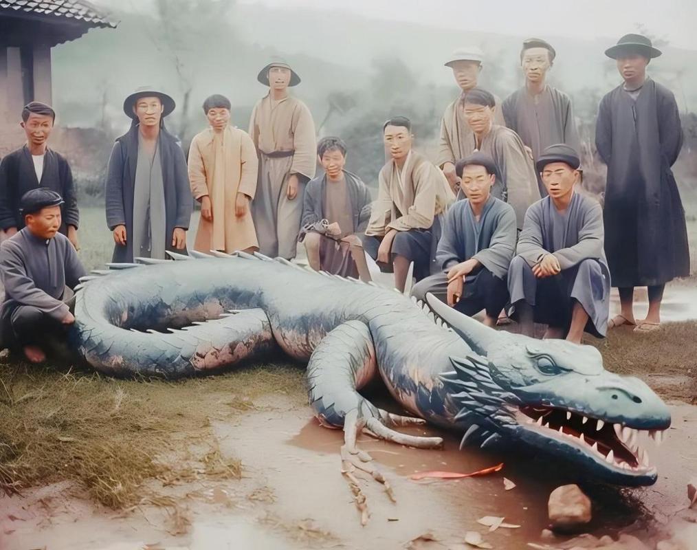 走进神秘的龙霸科技,一场市场奇迹背后的真相