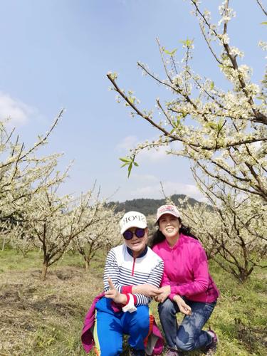 山西疫情徒步最新消息