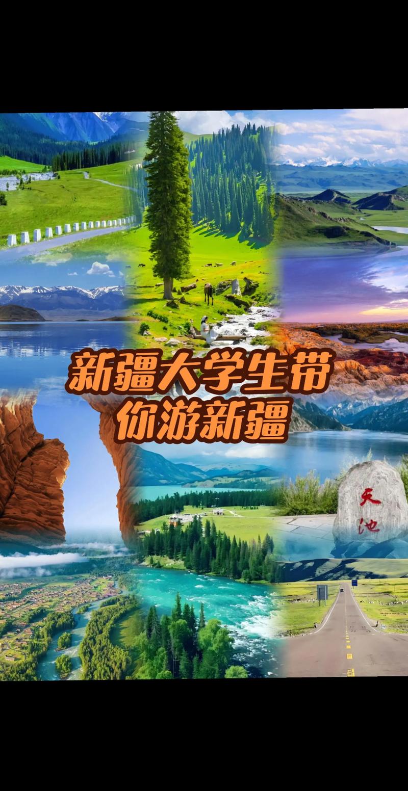 新疆营销型网站建设，让新疆更阳光