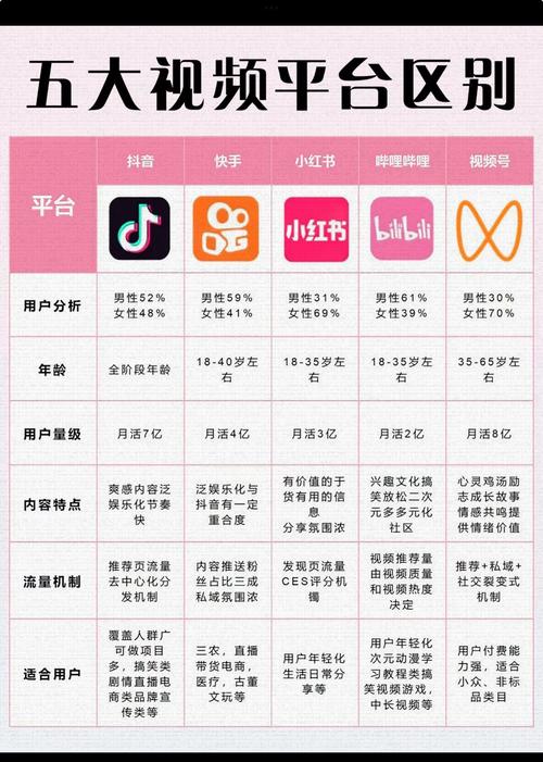 短视频平台的重要性