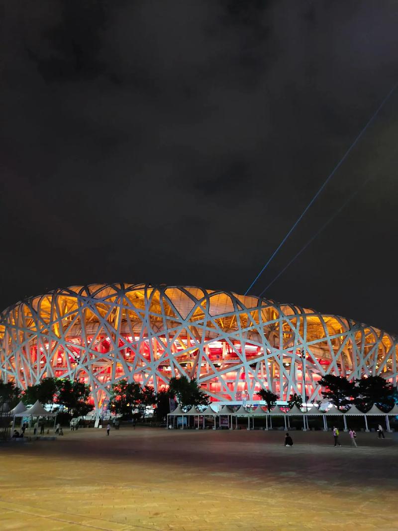 鸟巢,城市 resilience 的象征