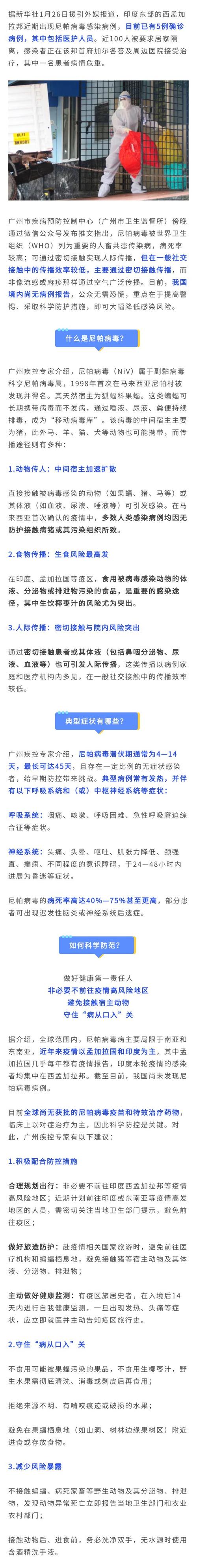 尼斯机场疫情最新动态，健康指南与安全提示