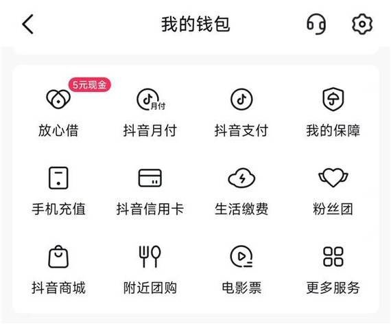 如何高效利用抖音极速版代刷与抖音业务乐园？提升转化率与收入！
