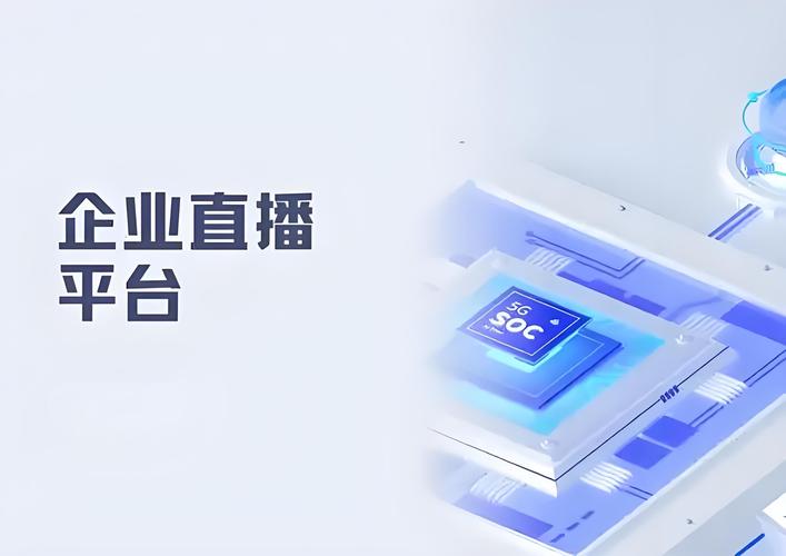 东莞知名的网络公司，助力直播电商的未来