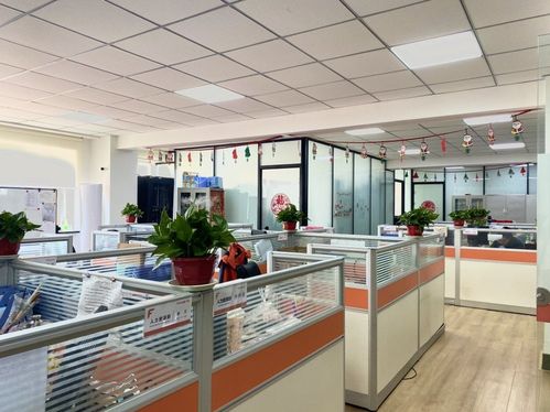 沈阳网络策划公司