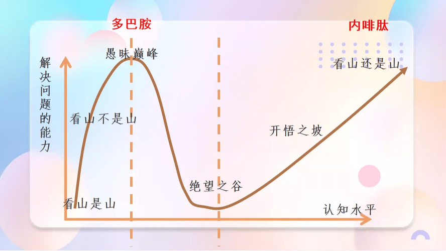电脑优化214年，从基础到巅峰的指南
