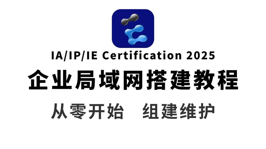 从零开始,构建高效的企业网络