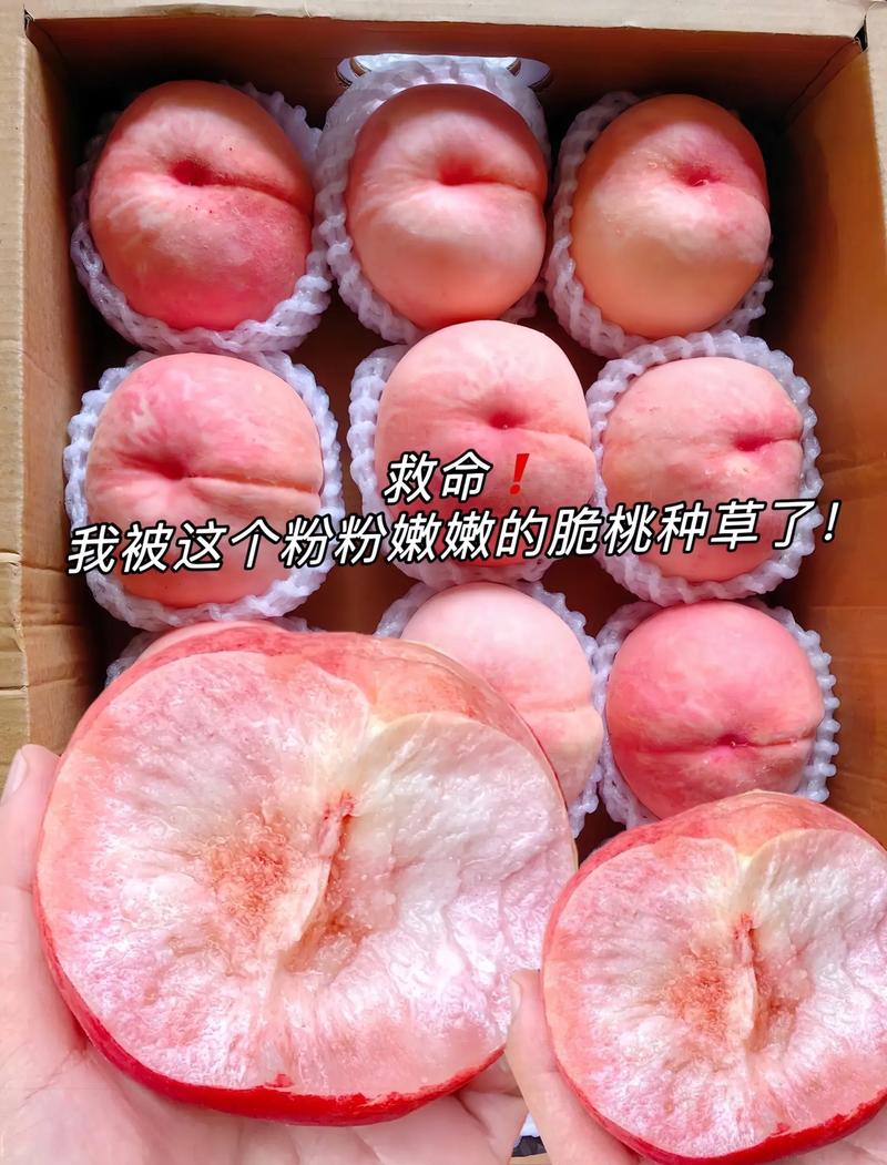 献桃粉,用一元一赞,让业务真正赚钱!