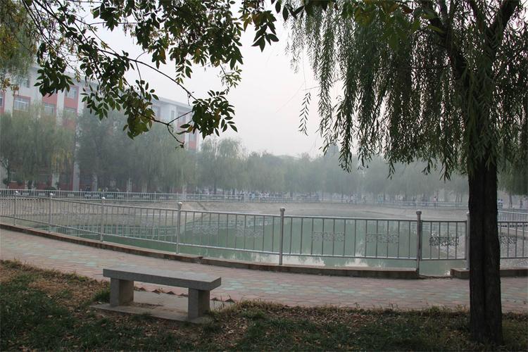 一、高青县的背景与需求