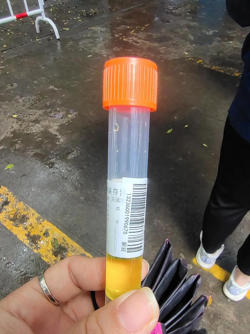 浙江双阳疫情最新消息,真相大白