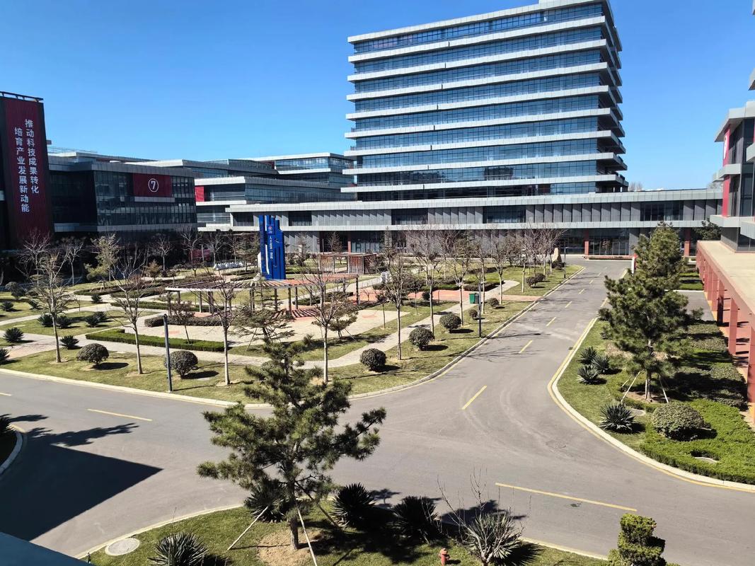 龙口国际网站建设，打造现代品牌形象的完美选择