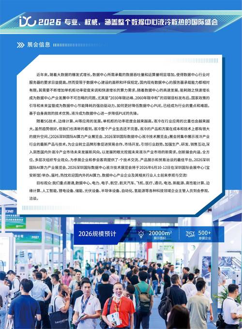 新注册网络平台，用户驱动的未来