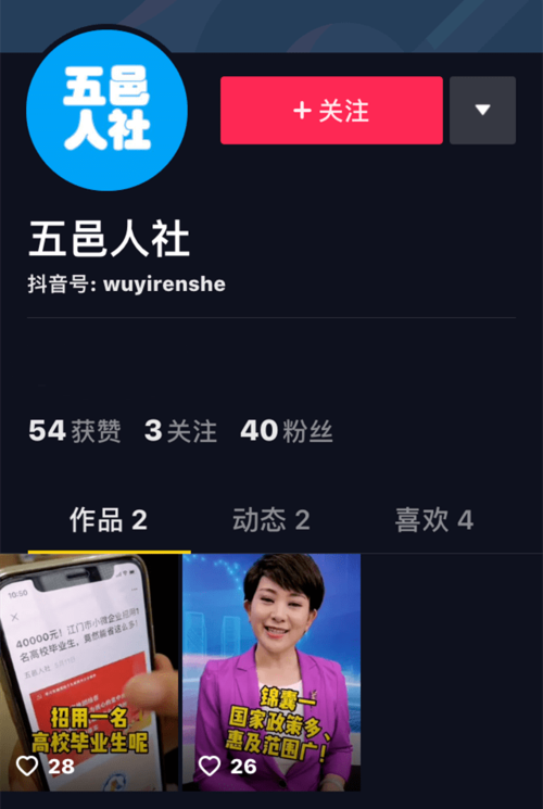 指南，如何高效利用抖音自助点赞和赞推广平台