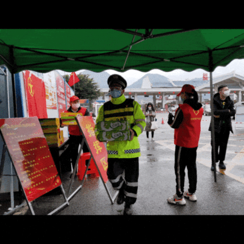 靖州疫情最新动态，你所不知道的动态