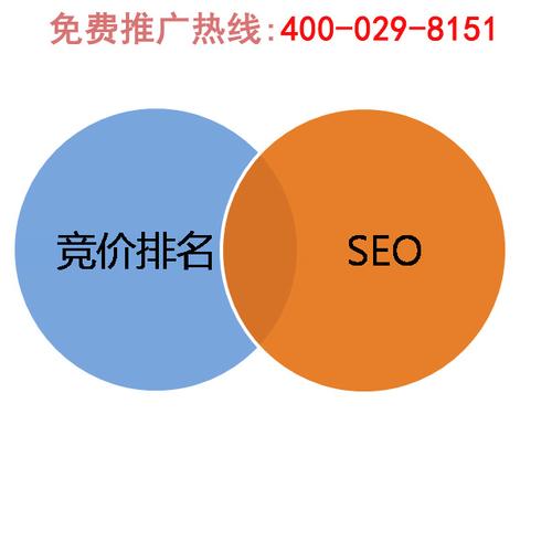 西安网络推广指南，专业技巧与实战案例