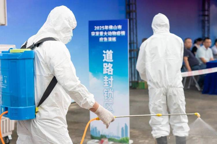 佛山沙堤疫情最新动态，防控措施与未来展望