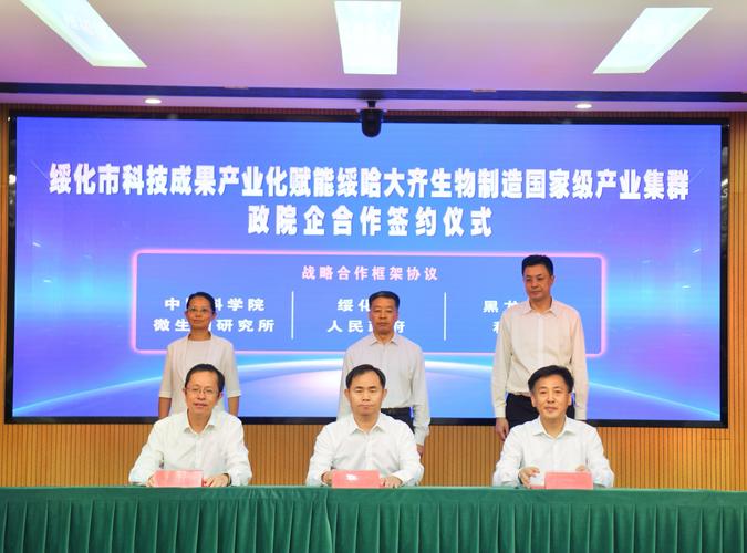 绥化企业网站建设，助力企业发展，提升形象！