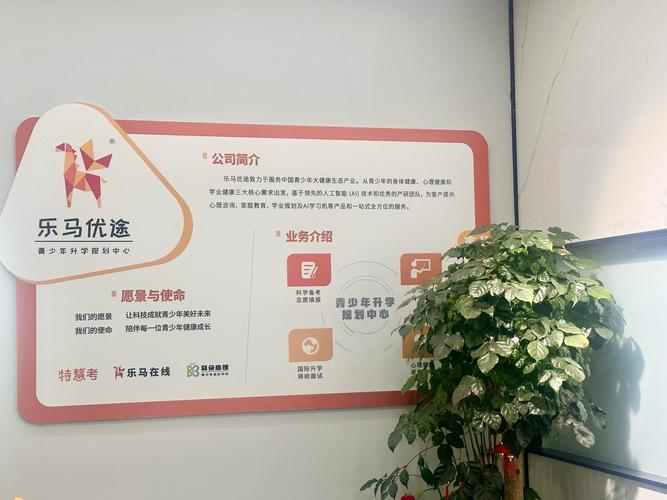 网络推广行业，选择可靠公司，开启品牌之旅