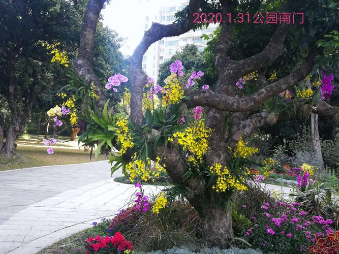 223年成都公园最新疫情信息,感染、死亡、隔离时刻