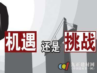 林芝营销，解读市场机遇与挑战