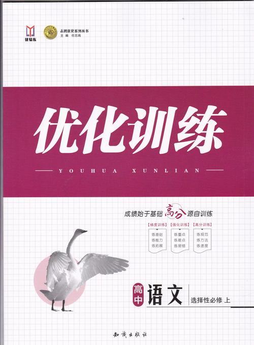 网络推广优化，漯河的必修课