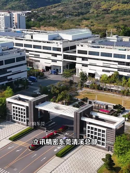 聚焦东莞本地企业，选择现代化网站建设公司