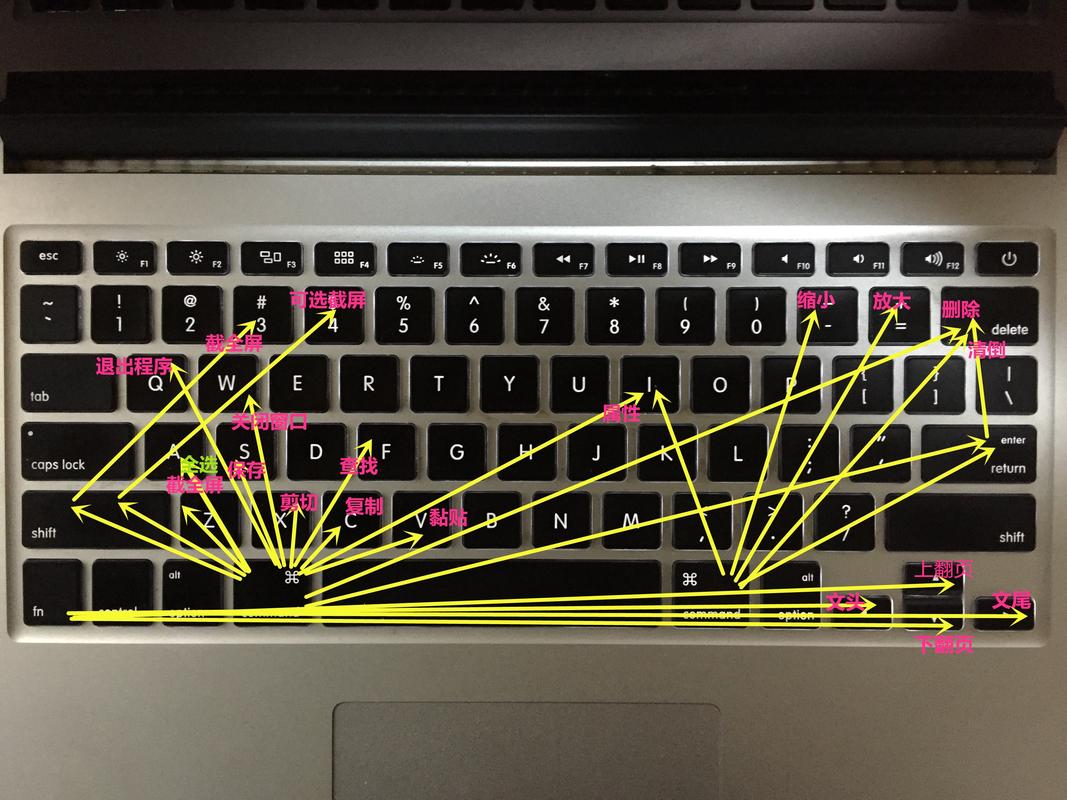 使用贝贝电脑眼，提升工作效率的小技巧
