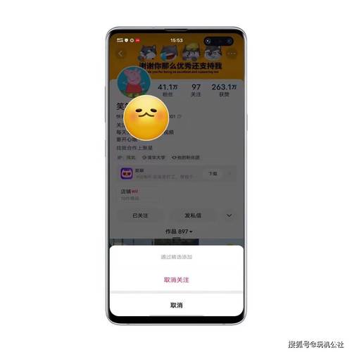 快手自定义评论秒刷与自动下单平台，如何让短视频内容更受欢迎与转化
