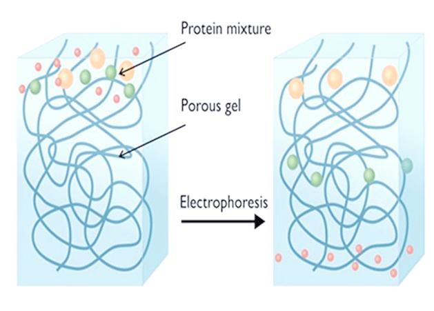 胶 South的网络，机遇与挑战