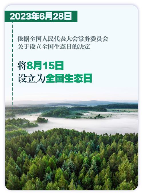 免费业务，开启内容生态的新篇章