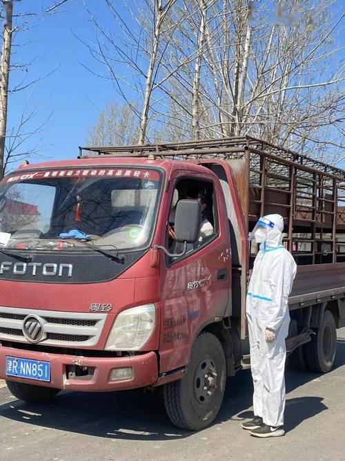 定州疫情最新消息,从疫情到文明的重构