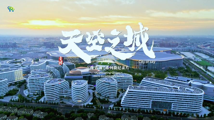 上海建网络，数字时代的城市之花