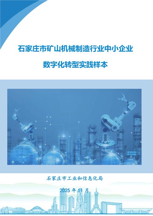 石家庄，数字经济的创新发展与未来展望