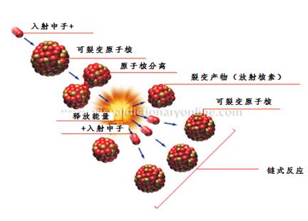 毓秀国际疫情最新消息,全球反应与应对策略