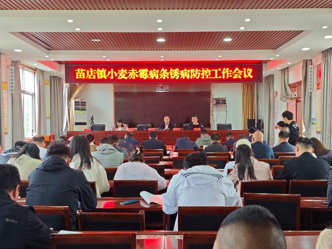 苗店镇最新疫情最新消息，疫情防控重点及应对措施详解