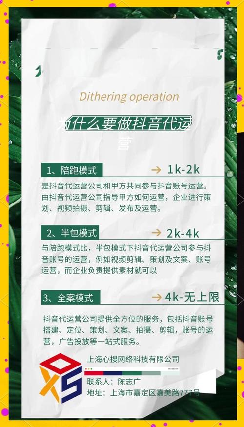 一、抖音自赞平台的现状与优势